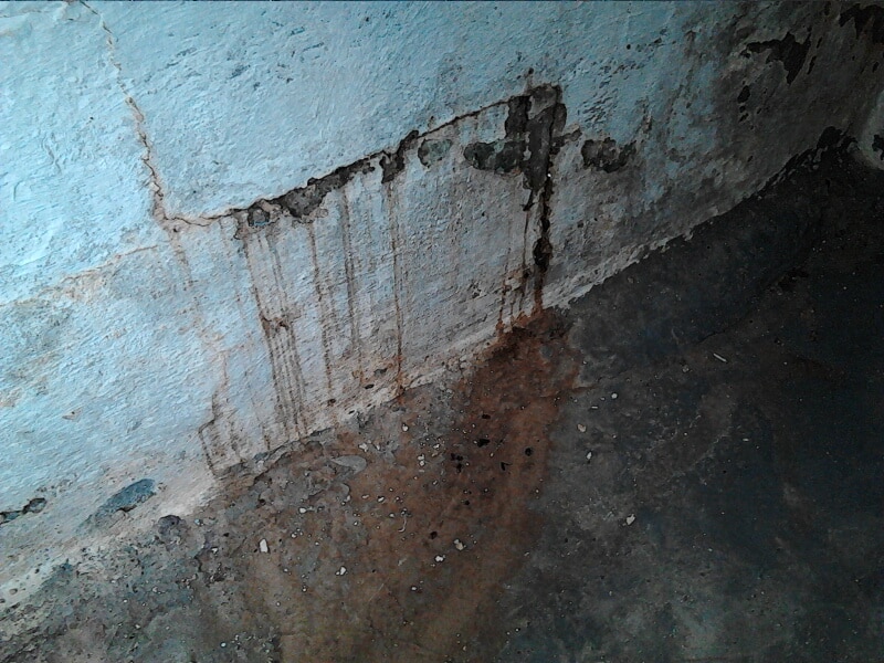 Water Intrusion - Home Inspection Consultation