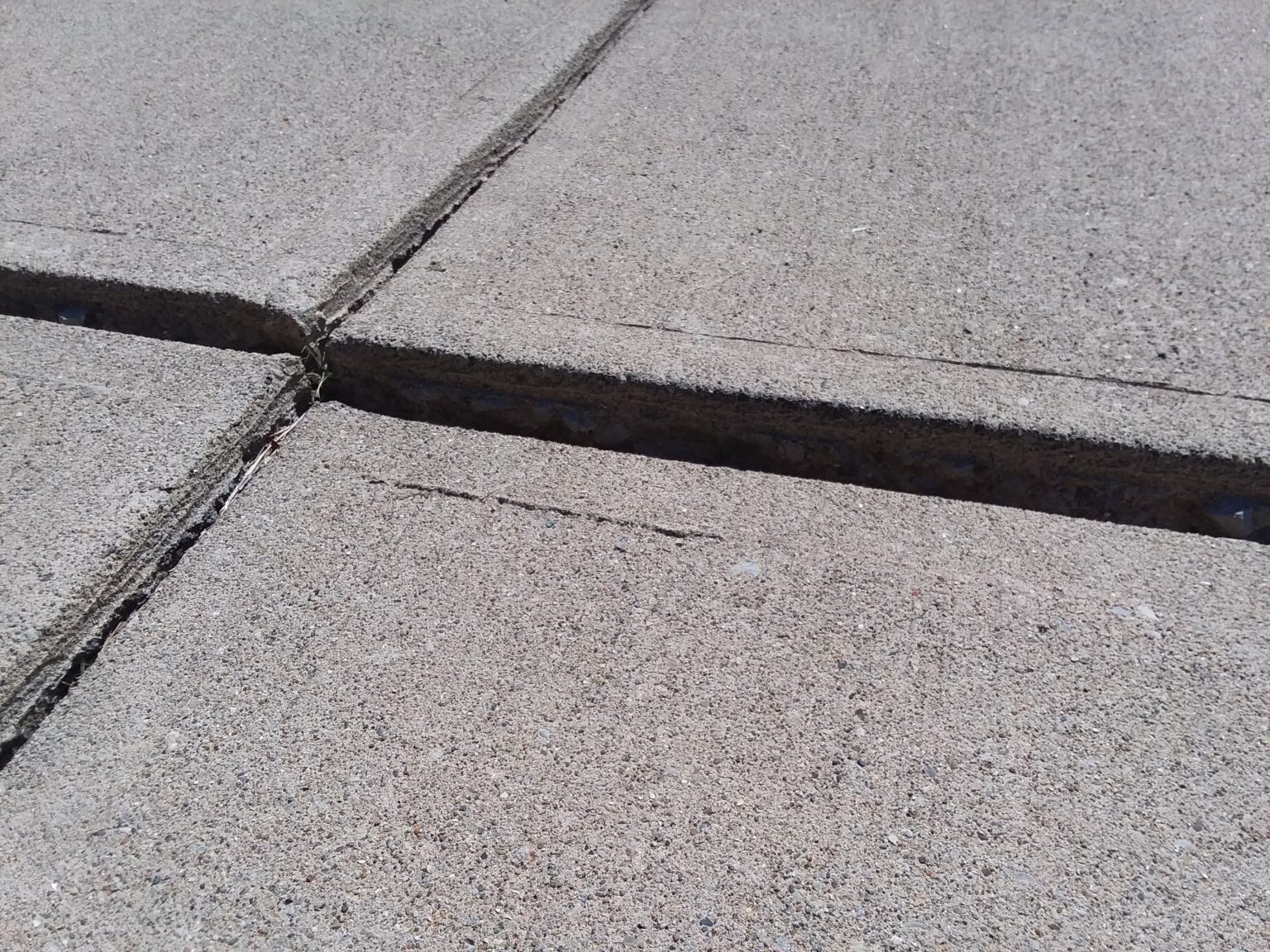 Sinking Concrete Driveway - Buyer's Inspection Service