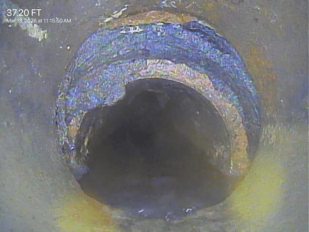 sewer inspection