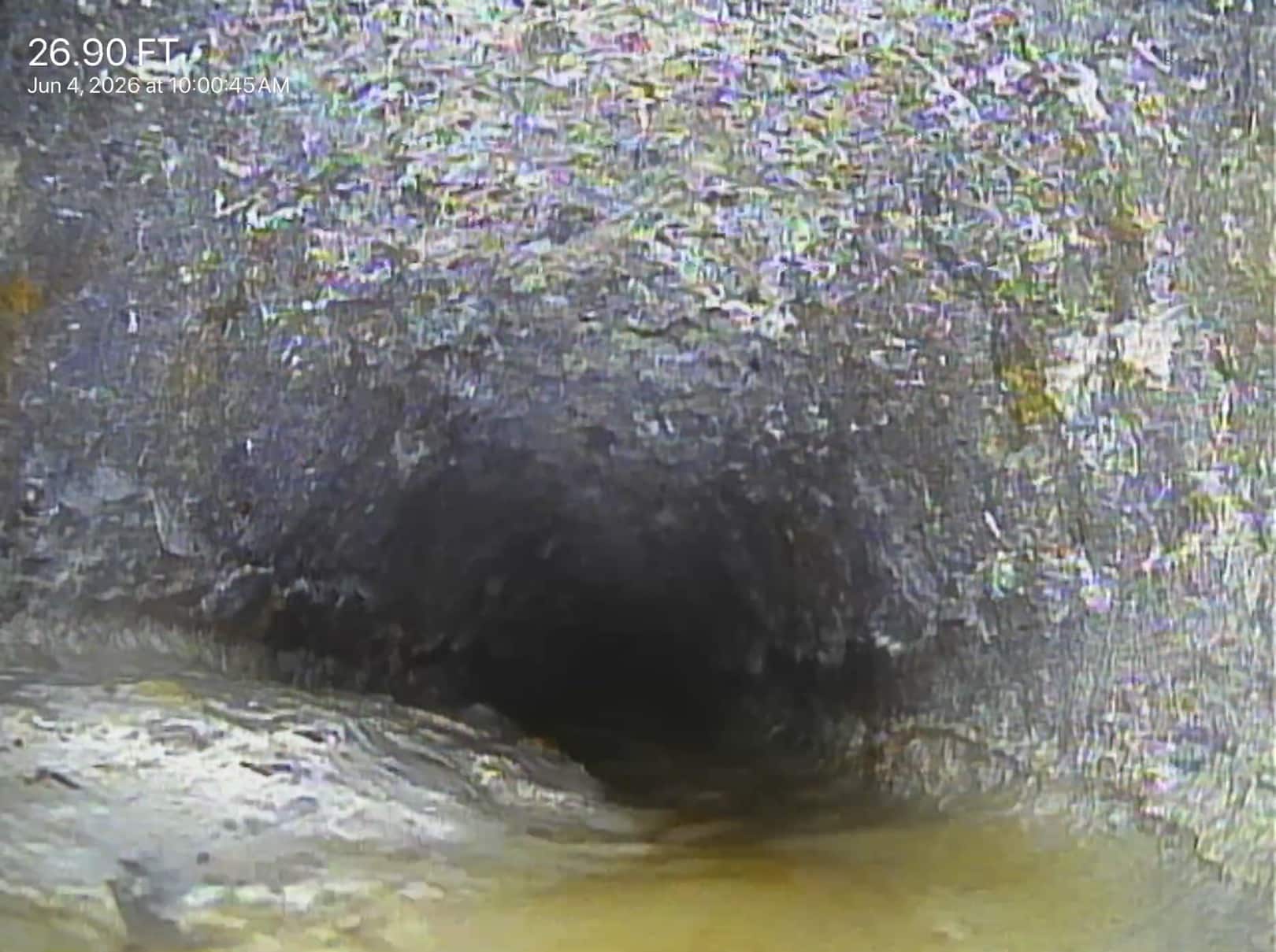 sewer inspection