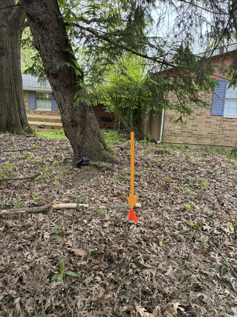 pipe direction under trees